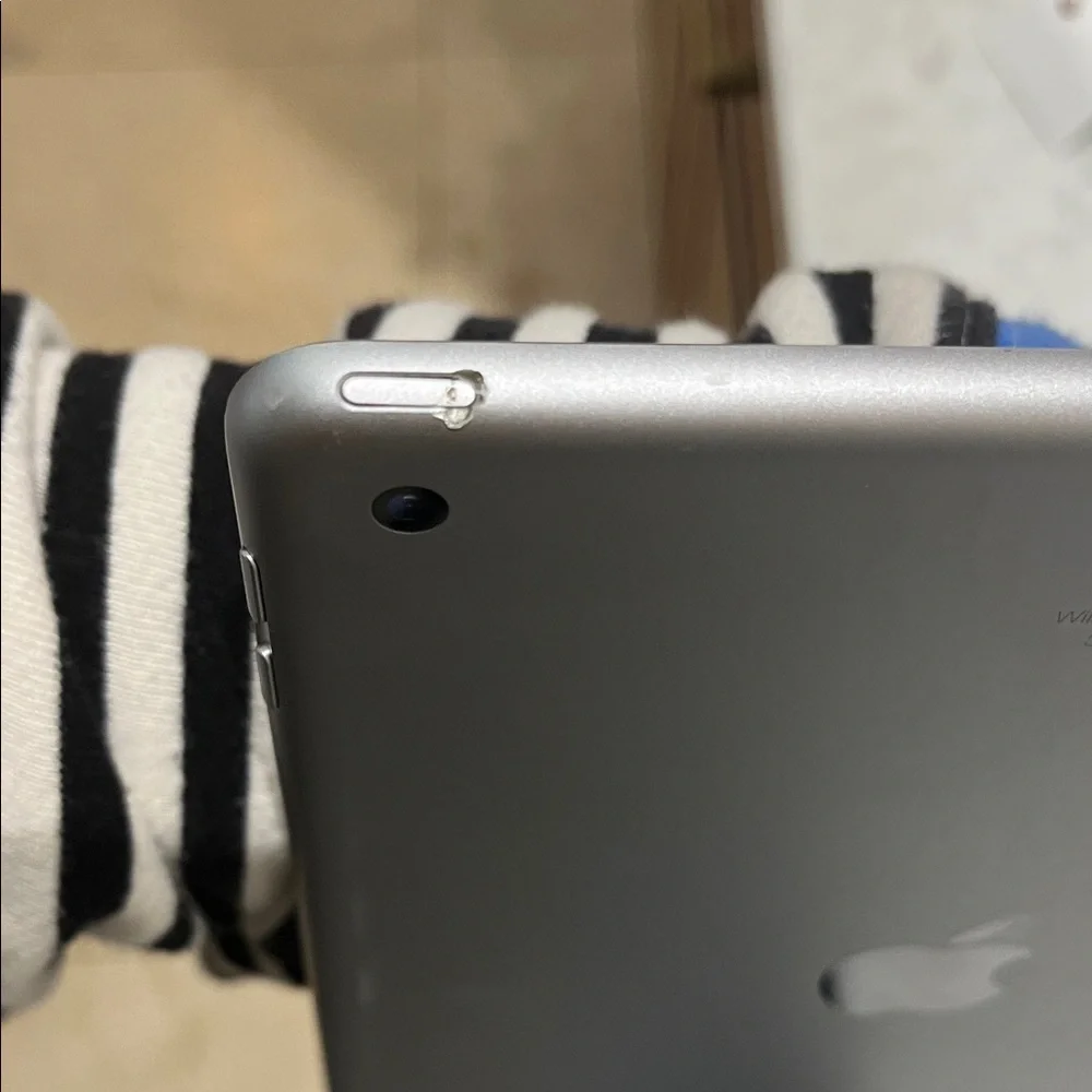 Apple iPad